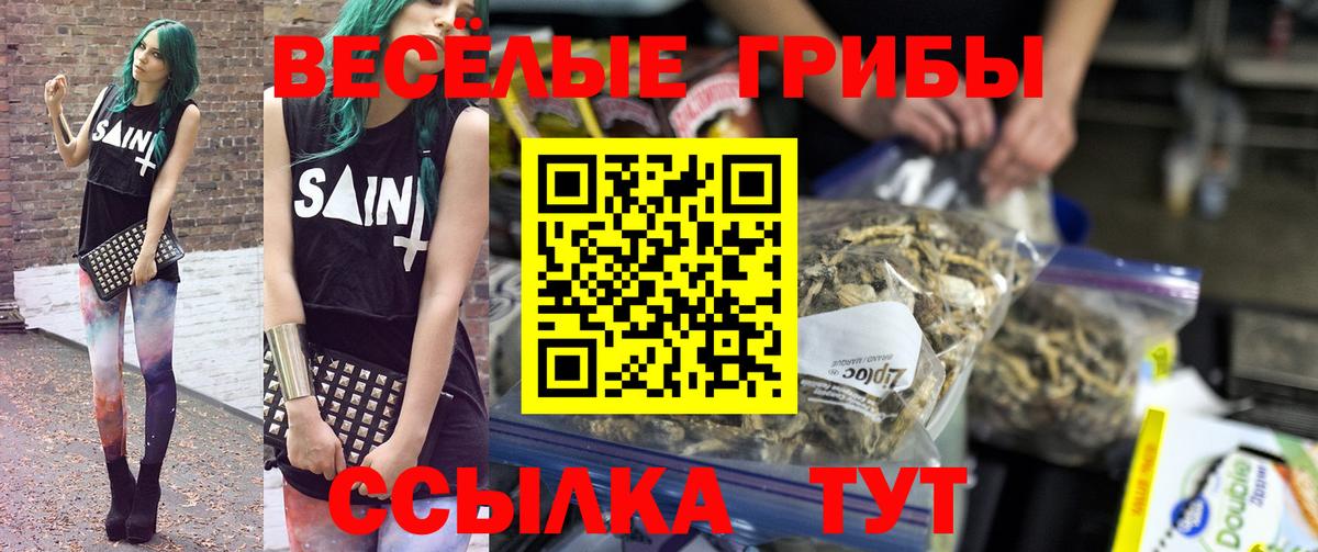 Псилоцибиновые грибы Psilocybe  Вход с VPN  Волгоград 